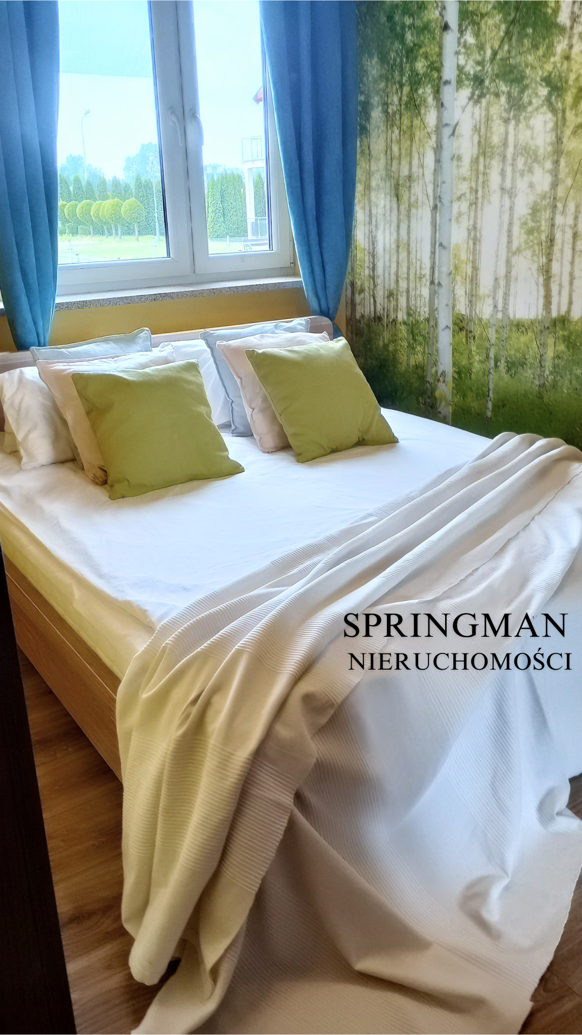 Springman nieruchomości