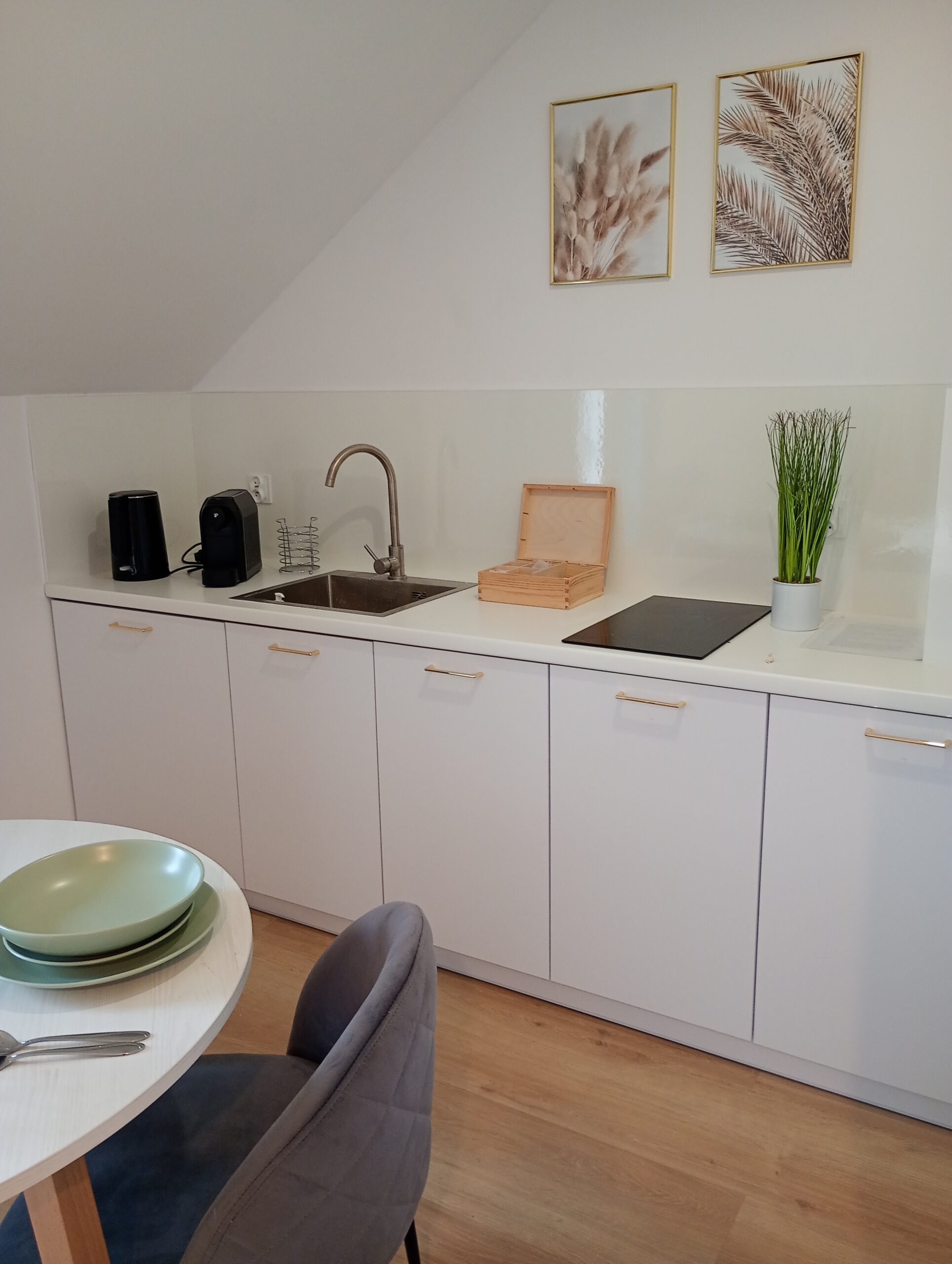 IMG_20250423_072720986_MFNR